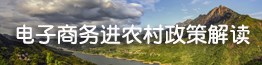 上饶县电子商务进农村政策解读